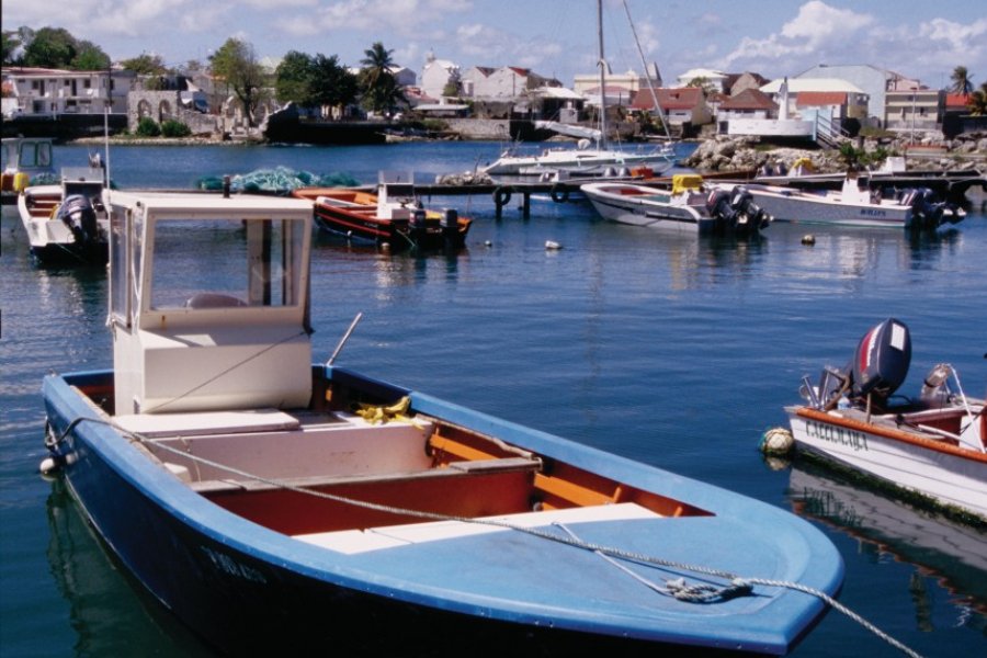 Port du Moule. (© Vincent FORMICA))