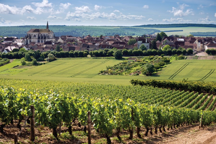 Le village viticole de Coulange-la-vineuse OFFICE DE TOURISME DE L'AUXERROIS