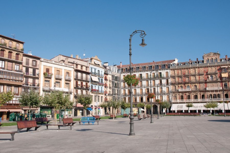 Plaza del Castillo. Alce - Fotolia