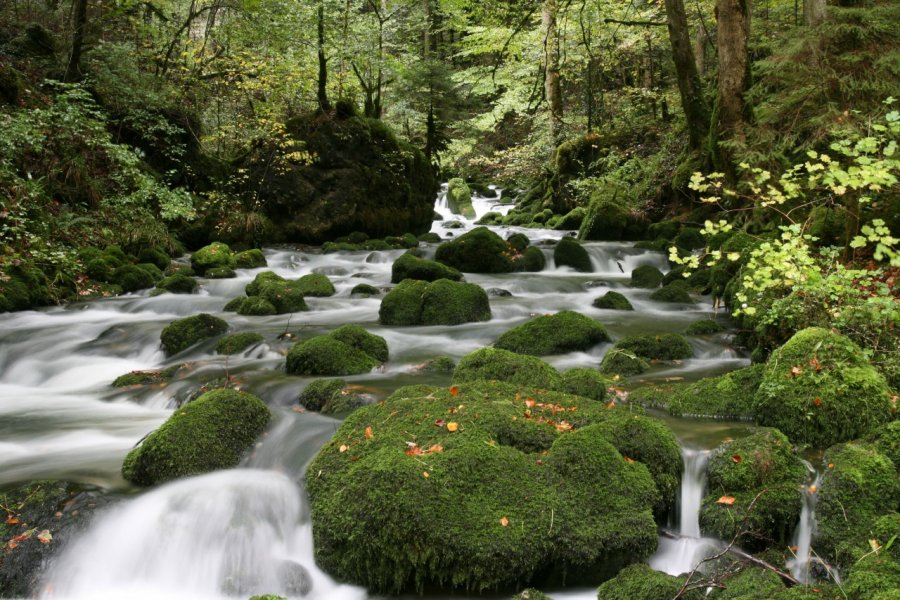 Torrent du Cirque de Consolation. Alexis BORG - Fotolia