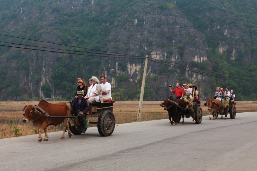 Ballade en chars à boeufs à Tam Coc. Philippe GUERSAN - Author's Image