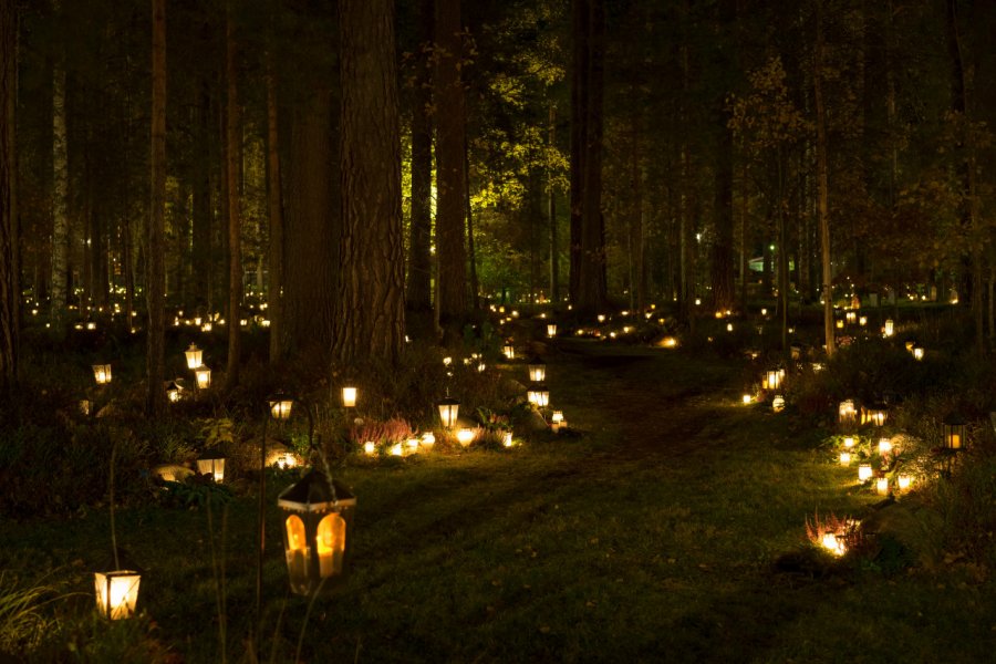 Des lanternes à Stockholm. Joachim Bago - Shutterstock.com
