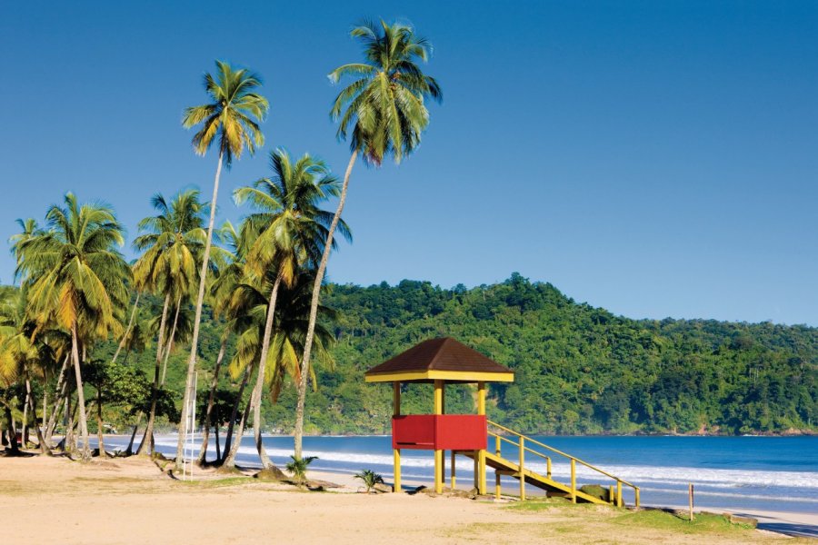 Plage de Maracas Bay. Stockphoto.com/phbcz