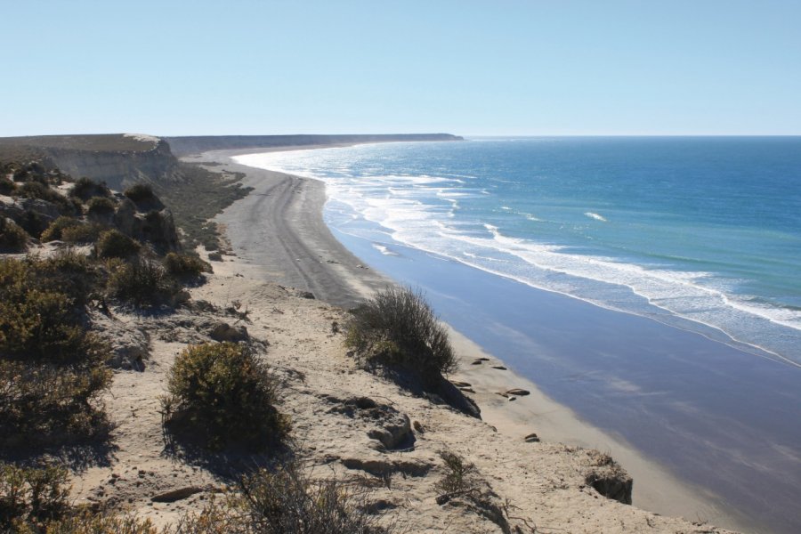 Caleta Valdés. Pierre-Yves SOUCHET