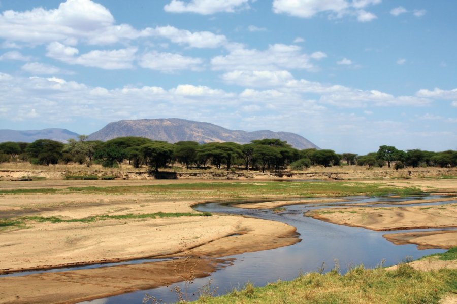 Ruaha National Park dsukhov - iStockphoto.com