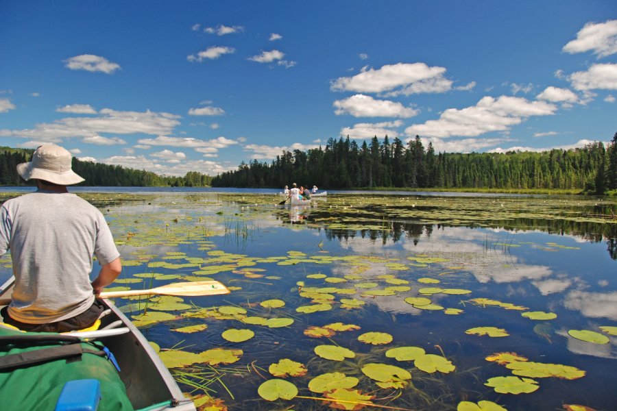 Parc provincial Quetico. Wildnerdpix - Shutterstock.com