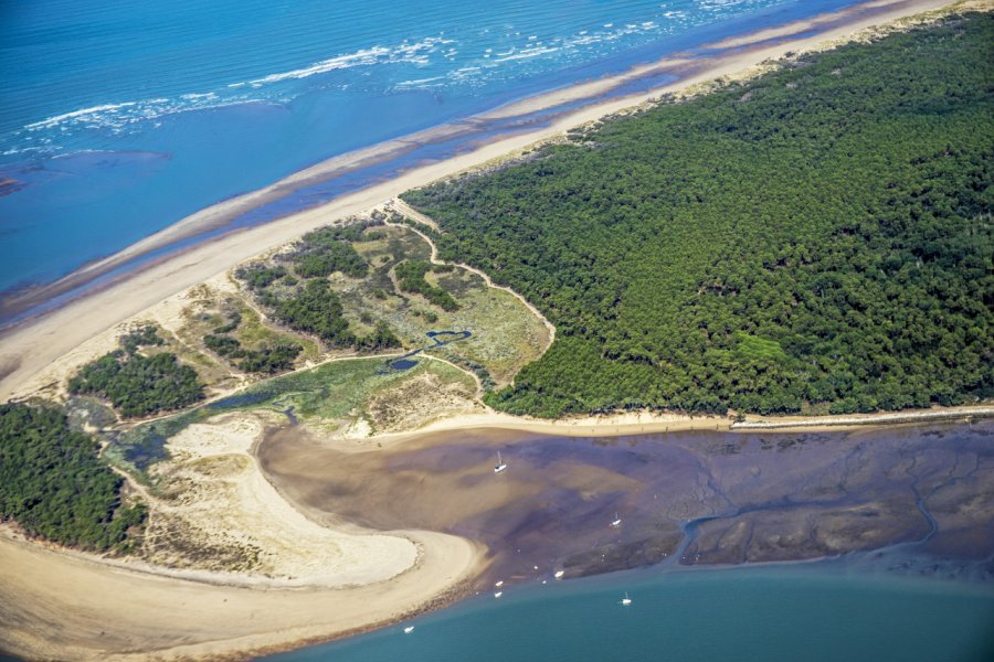 Vue aérienne de l'île d'Oléron. Olivier - stock.adobe.com