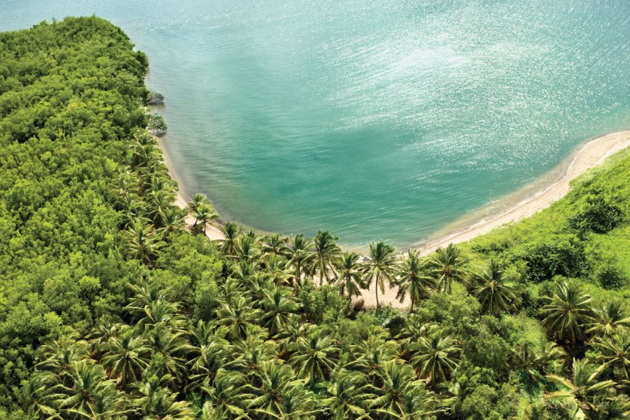 Petite île du parc national Los Haïtises. (© Ministère du Tourisme de la République Dominicaine))