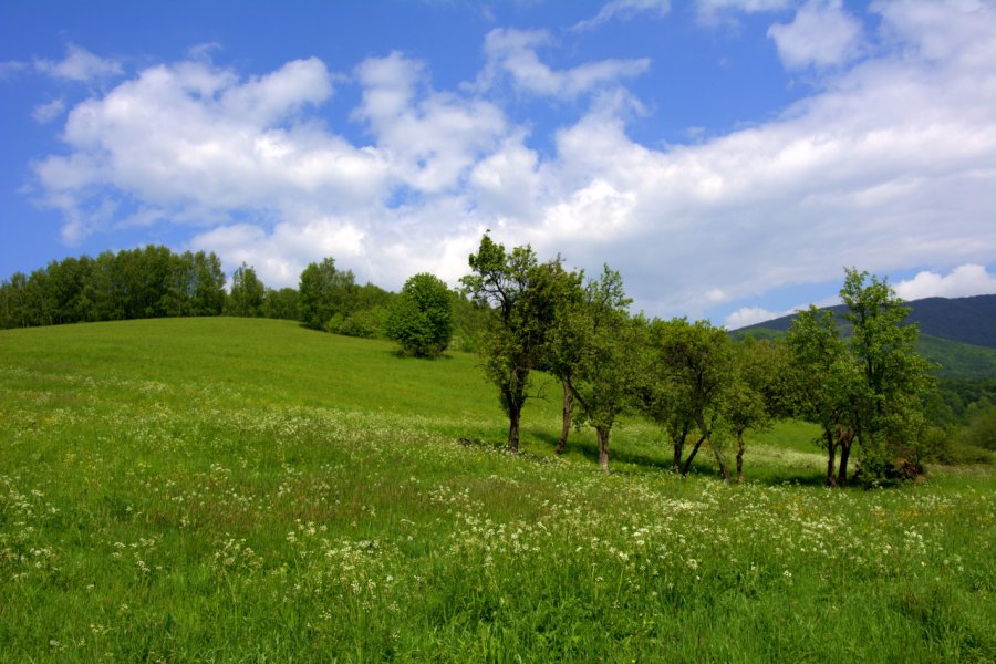 Randonnée dans le parc national Poloniny Michal 11 - Shutterstock.com