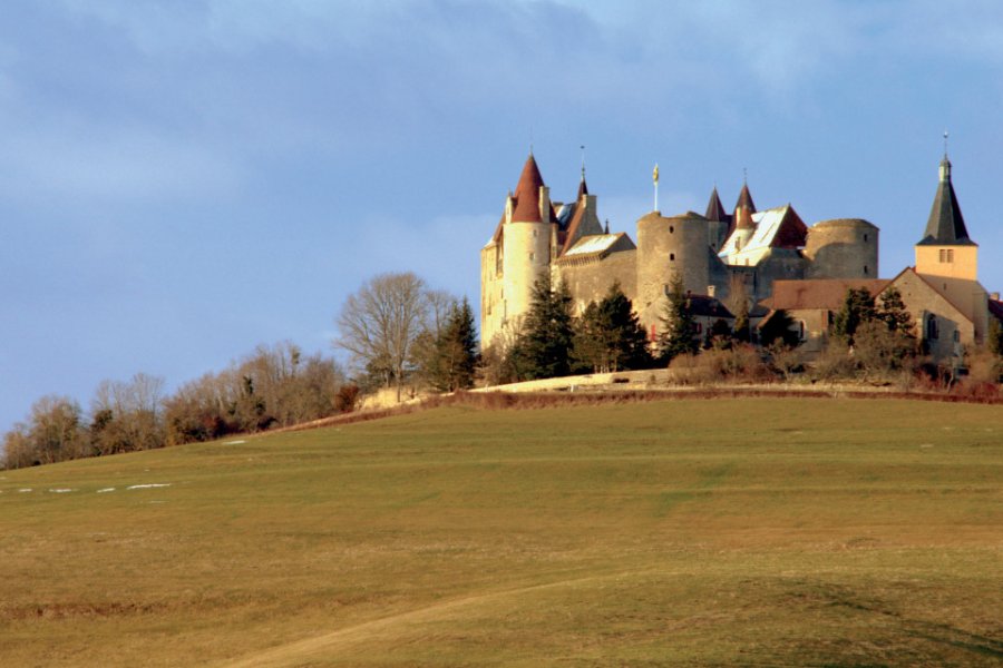 Le château de Châteauneuf-en-Auxois OLIVIER PONCELET - FOTOLIA