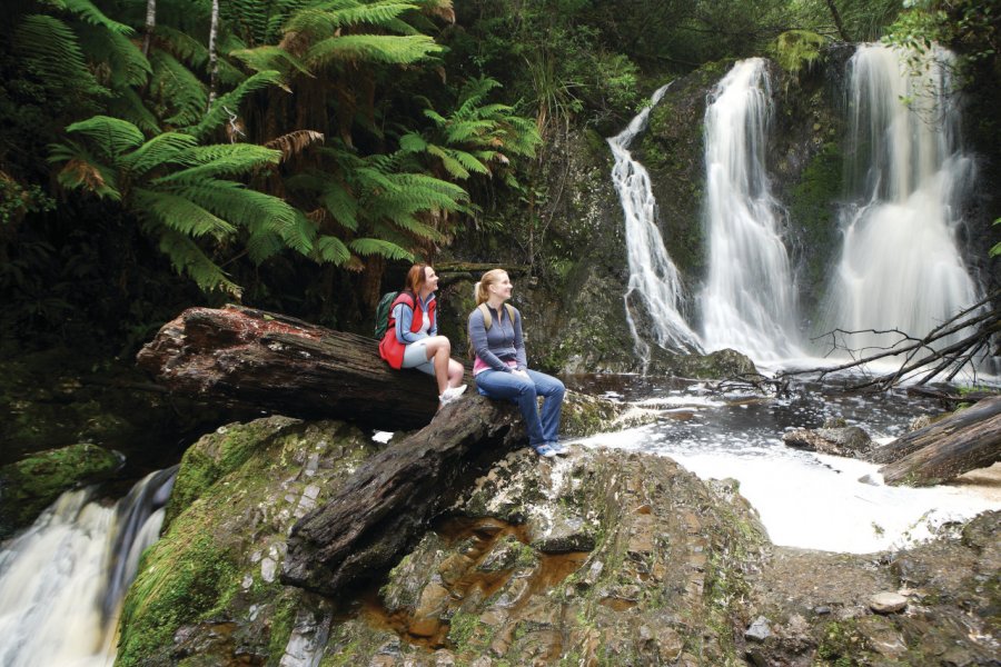 Hogarth Falls. Tourism Tasmania & Joe Shemesh