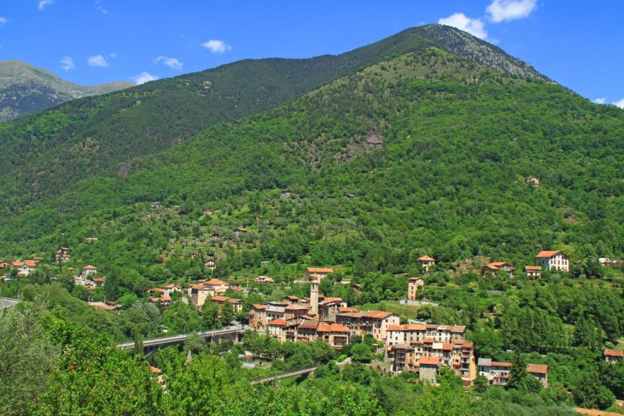 Le village de Roquebillière. (© thier))