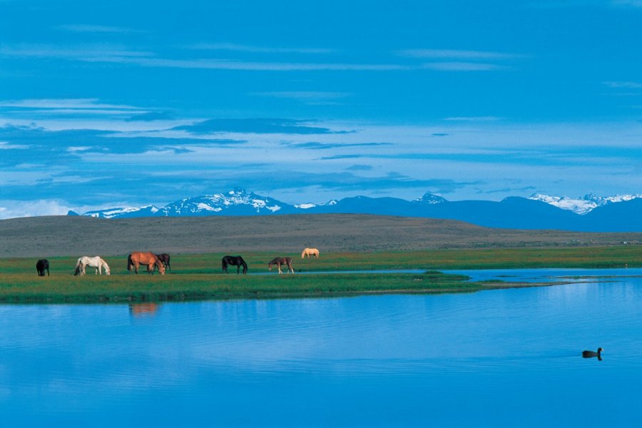 Lac des environs d'El Calafate. Alamer - Iconotec