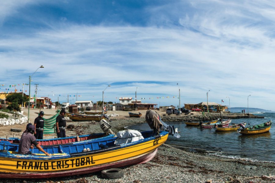 Le petit port de pêche de Chañaral de Aceituno Arnaud BONNEFOY