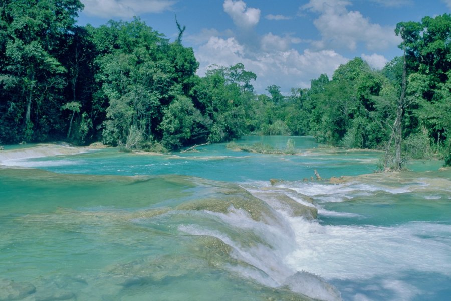 Les cascades d'Agua Azul doivent leur nom à la couleur bleutée de l'eau. Eric Martin - Iconotec