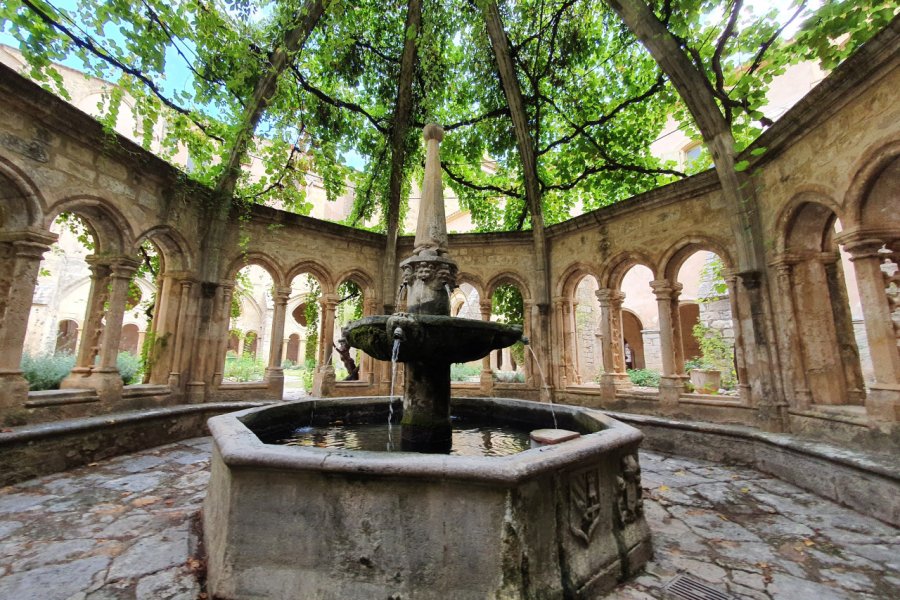 Abbaye de Valmagne. F. AMBROSINO - OT THAU