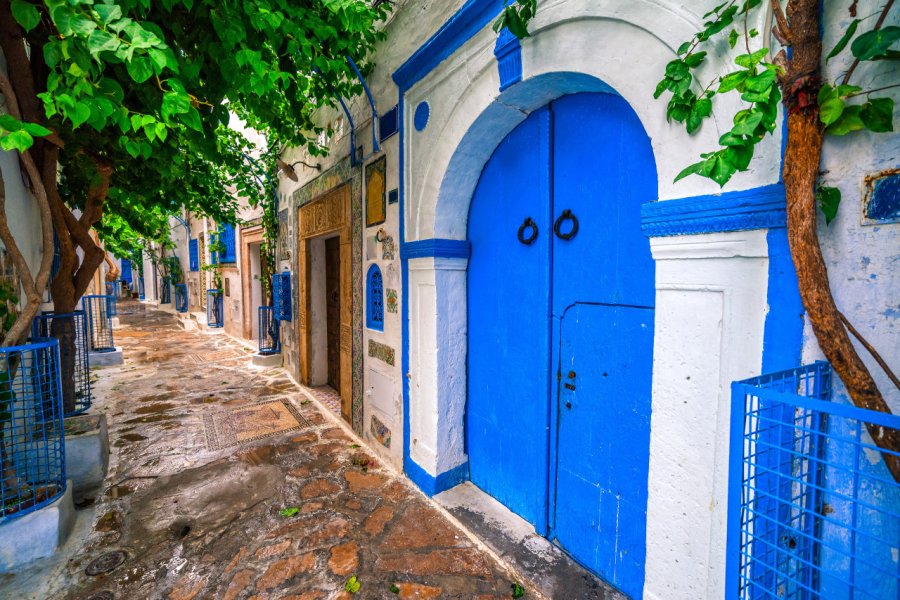 Medina d'Hammamet. Viacheslav - AdobeStock.com