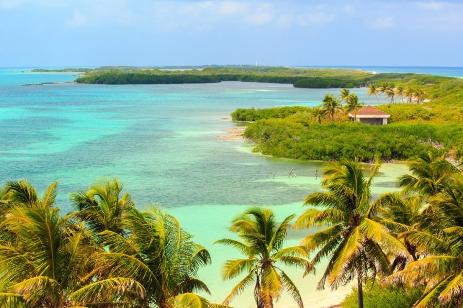 Isla Contoy. Maciej Czekajewski - Shutterstock.com