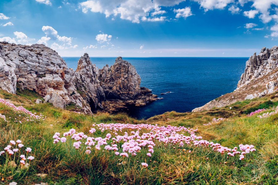 La pointe du Pen-Hir. DaLiu - iStockphoto.com