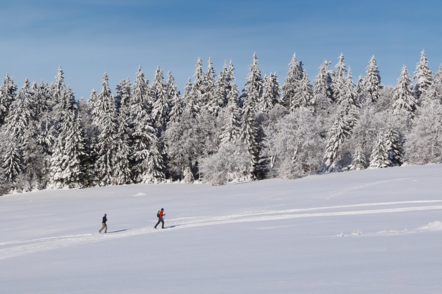 Balade en ski de fond. Olympixel - stock.adobe.com