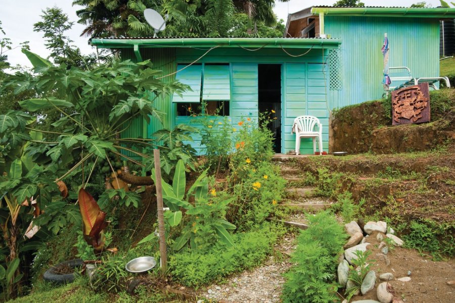 Habitation de Tobago. ImagesbyDebraLee