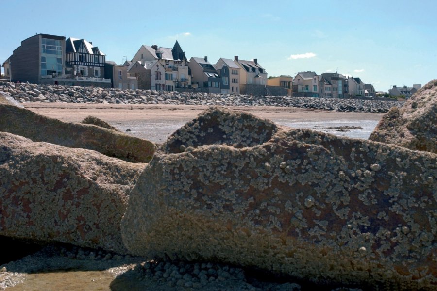 Maisons sur le front de mer d'Agon-Coutainville SERGE.NOUCHI - XILOPIX