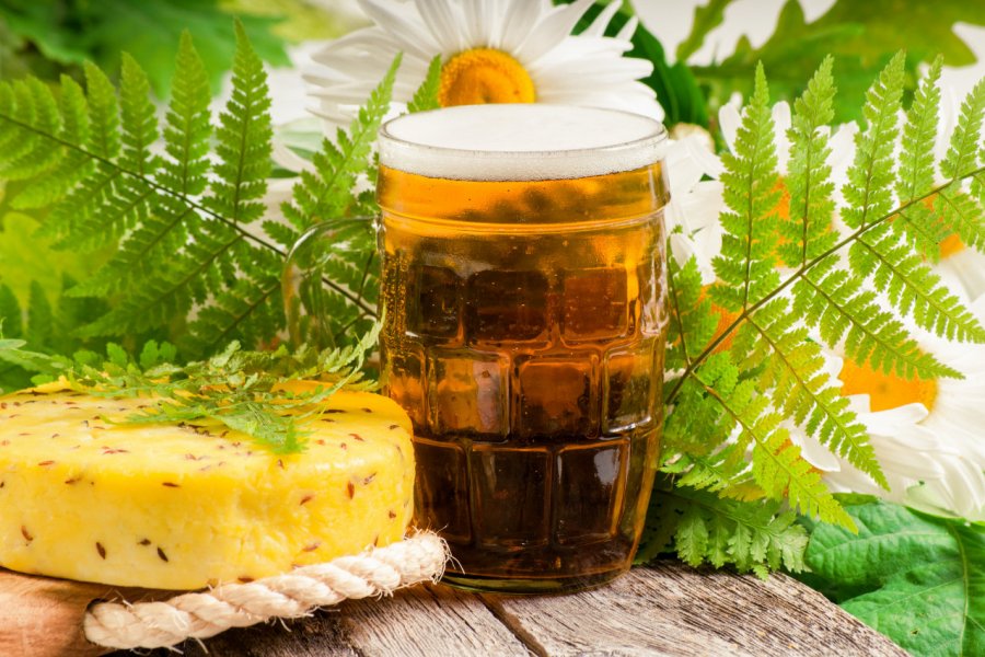 Jāņu siers et bière servis traditionnellement lors de la fête du Ligo. strelka - Shutterstock.com