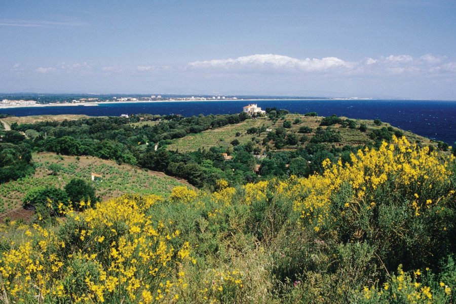 Côte Vermeille proche d'Argelès-Plage Nicolas Rung - Author's Image