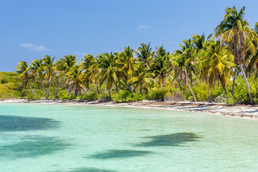 Isla Contoy. Maciej Czekajewski - Shutterstock.com