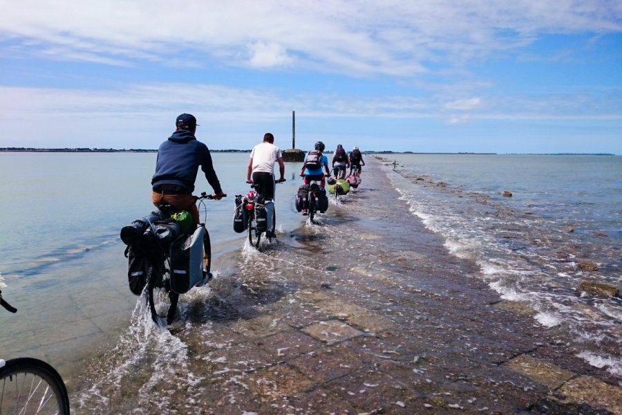 Traversée du Gois à vélo. Thomas Pajot - stock.adobe.com