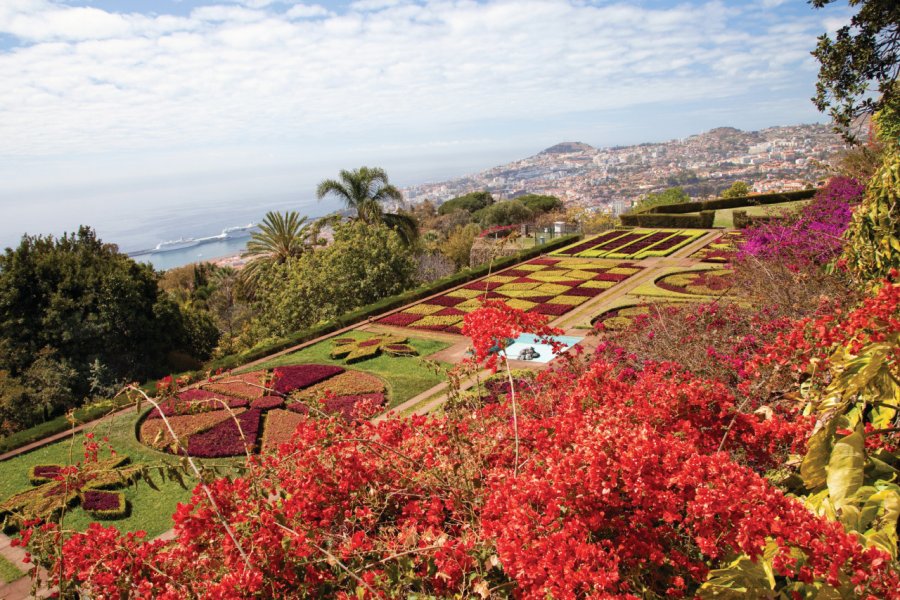 Jardin botanique de Funchal. Olga_Anourina - iStockphoto