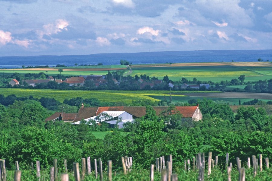 Ferme et culture VALÉRY D'AMBOISE