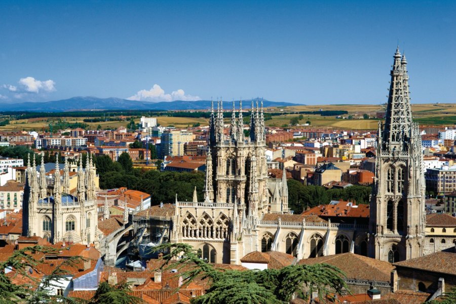 Vue sur la cathédrale et la ville. Author's Image