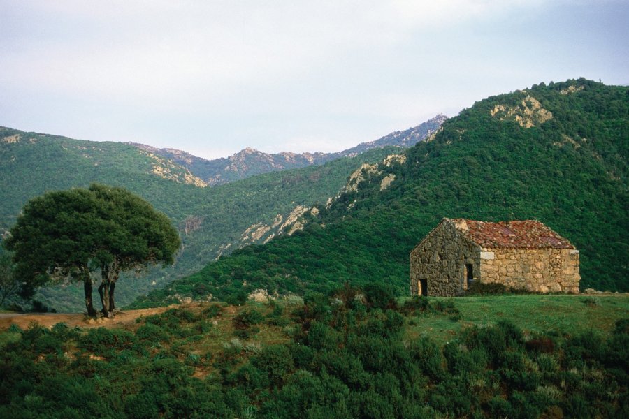 Bergerie corse aux environs de Piana GIUSEPPE ROSSI - ICONOTEC