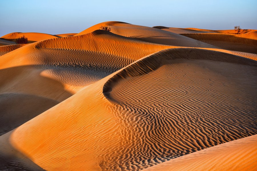 Le Rub'al-Khali Jiri Vlach - Shutterstock.com