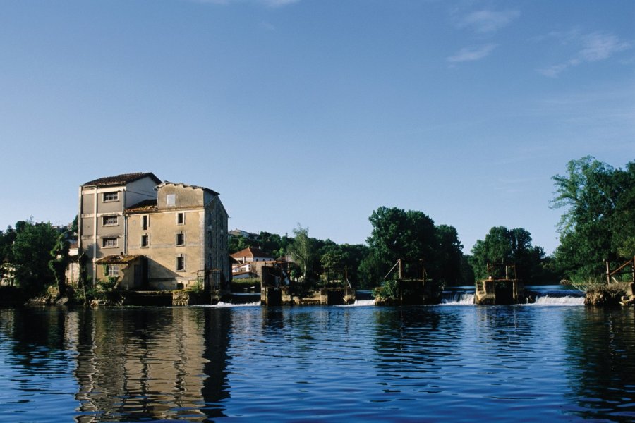 La Charente, à Saint-Simeux IRÈNE ALASTRUEY - AUTHOR'S IMAGE