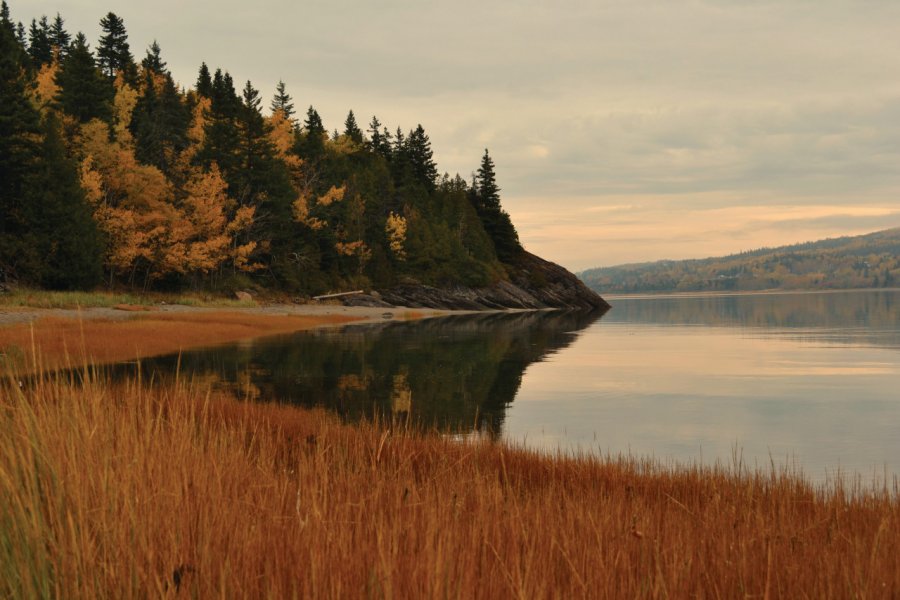 Matin d'automne dans le parc national du Bic. Renaud MOY