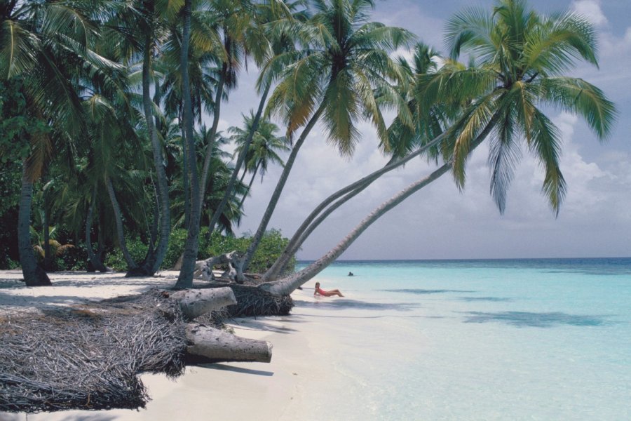 Plage des Maldives. Mike FOX - Iconotec