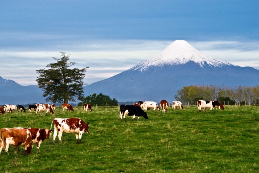 Osorno. Ksenia Ragozina / Shutterstock.com