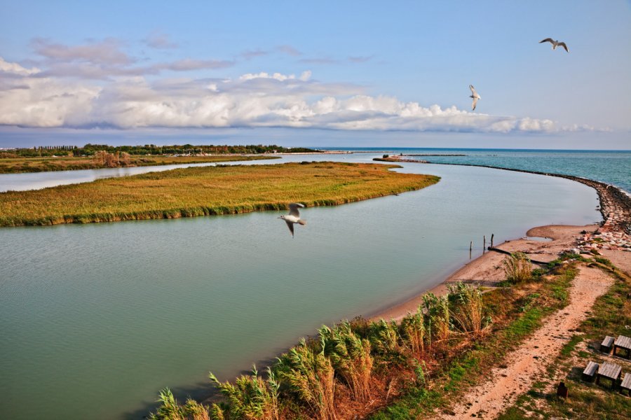 Rosolina dans le delta du Pô. ermess - stock.adobe.com