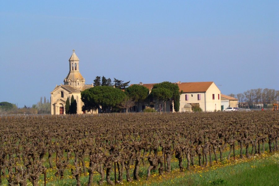 Vignoble et chapelle de Vauvert. (© Daniel Laurent - Fotolia))