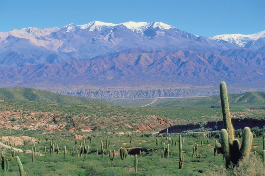 Paysage de la région de Salta. (© H.Fougère - Iconotec))