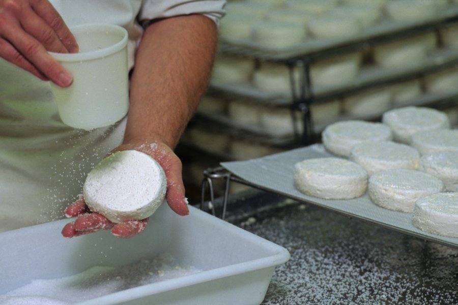 Fabrication de fromages de chèvre. OSCAR - stock.adobe.com