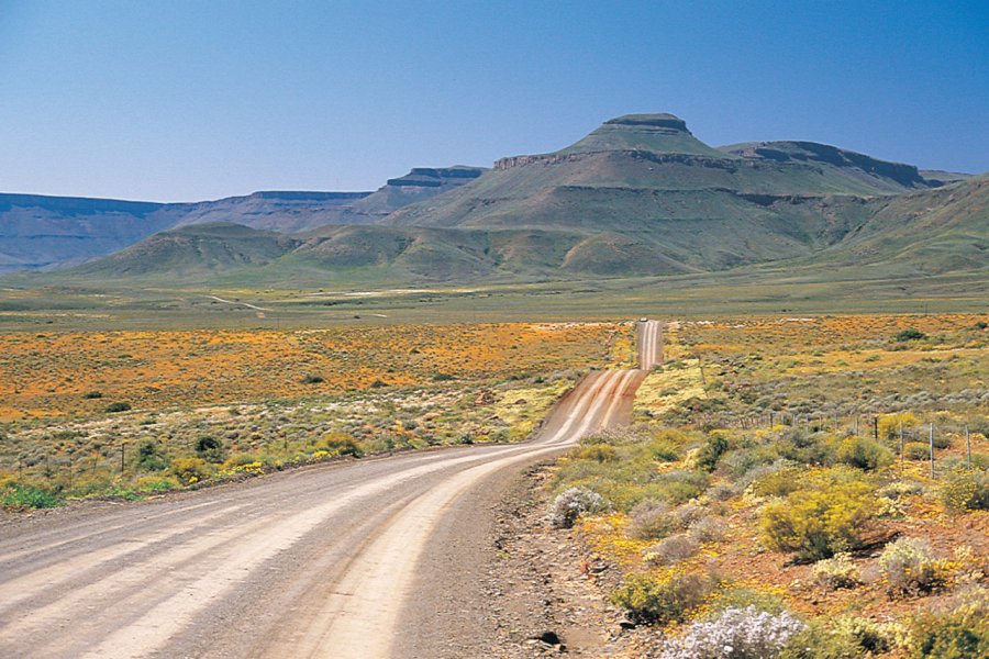 Piste menant à Calvinia South African Tourism