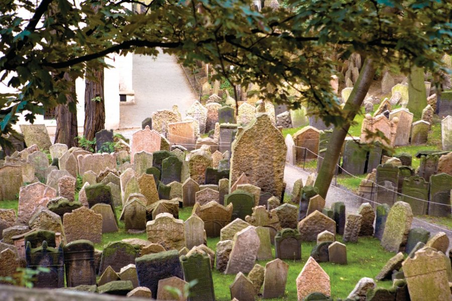 Vieux cimetière juif de Josefov Author's Image