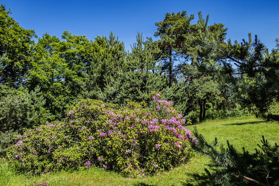 Le parc de la Vallée aux Loups. Kiev.Victor - Shutterstock.com