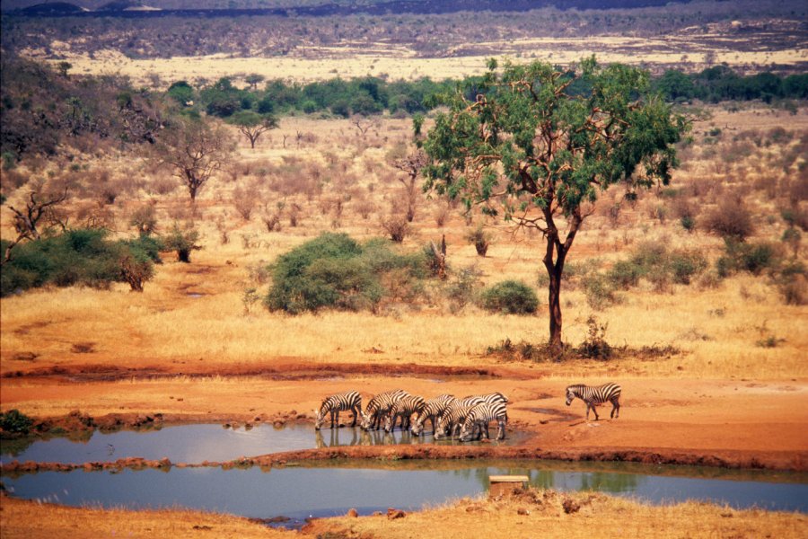 Tsavo East National Park. FernandoQuevedo