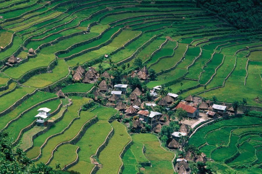Les terrasses de riz de Batad. Author's Image