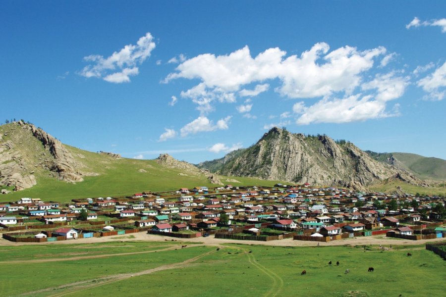 Village de Tsetserleg. Allocricetulus - iStockphoto