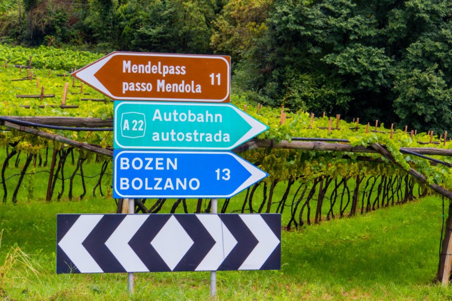 Panneaux bilingues. Diego Fiore - Shutterstock.com